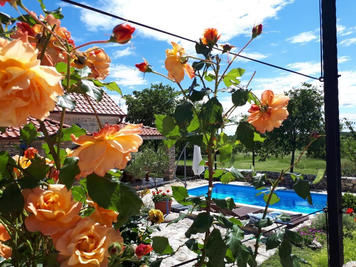 Holiday Home Toma Puljane Εξωτερικό φωτογραφία